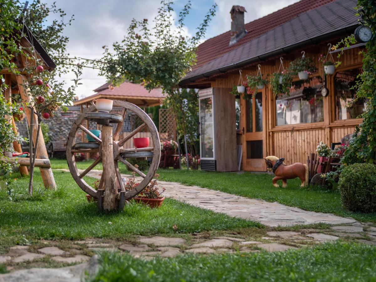 Agropensiunea Casa Nica Marginen Kültér fotó