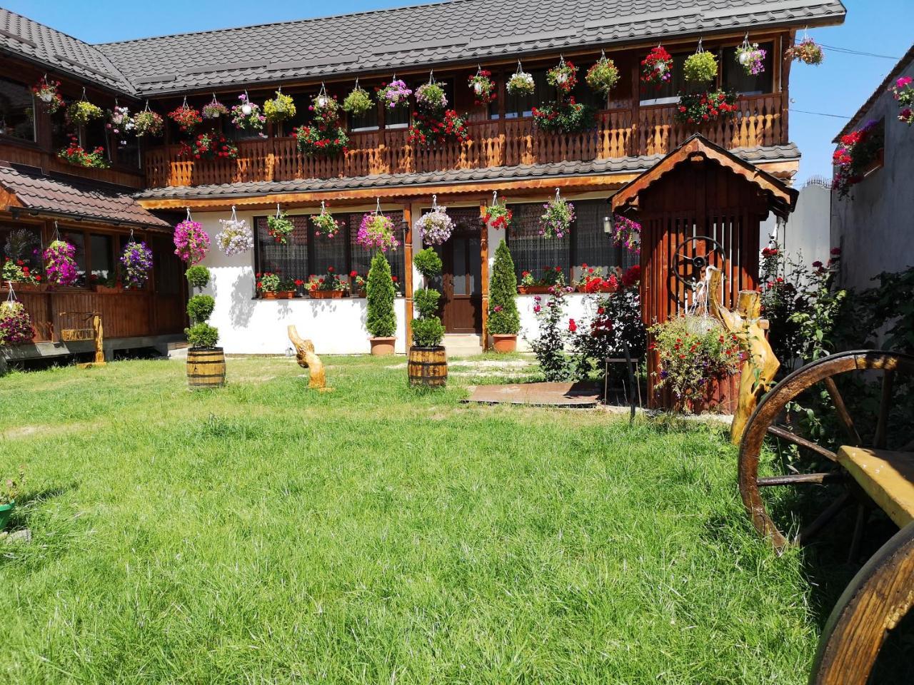 Agropensiunea Casa Nica Marginen Kültér fotó